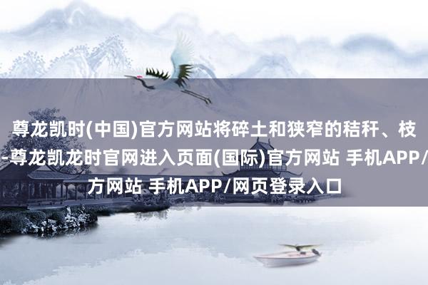 尊龙凯时(中国)官方网站将碎土和狭窄的秸秆、枝杈等混在沿途-尊龙凯龙时官网进入页面(国际)官方网站 手机APP/网页登录入口