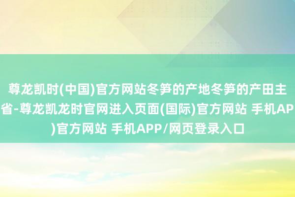 尊龙凯时(中国)官方网站冬笋的产地冬笋的产田主要都集在南边各省-尊龙凯龙时官网进入页面(国际)官方网站 手机APP/网页登录入口