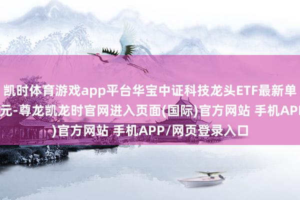 凯时体育游戏app平台华宝中证科技龙头ETF最新单元净值为1.271元-尊龙凯龙时官网进入页面(国际)官方网站 手机APP/网页登录入口