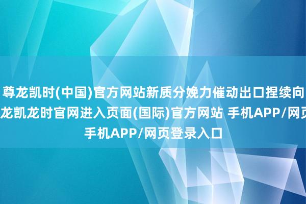 尊龙凯时(中国)官方网站新质分娩力催动出口捏续向好发展-尊龙凯龙时官网进入页面(国际)官方网站 手机APP/网页登录入口