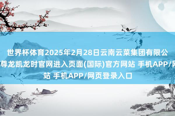 世界杯体育2025年2月28日云南云菜集团有限公司价钱行情-尊龙凯龙时官网进入页面(国际)官方网站 手机APP/网页登录入口
