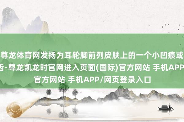 尊龙体育网发扬为耳轮脚前列皮肤上的一个小凹痕或针眼大小的启齿-尊龙凯龙时官网进入页面(国际)官方网站 手机APP/网页登录入口