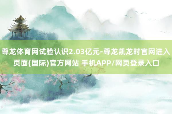 尊龙体育网试验认识2.03亿元-尊龙凯龙时官网进入页面(国际)官方网站 手机APP/网页登录入口