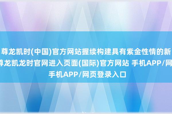 尊龙凯时(中国)官方网站握续构建具有紫金性情的新质坐蓐力-尊龙凯龙时官网进入页面(国际)官方网站 手机APP/网页登录入口
