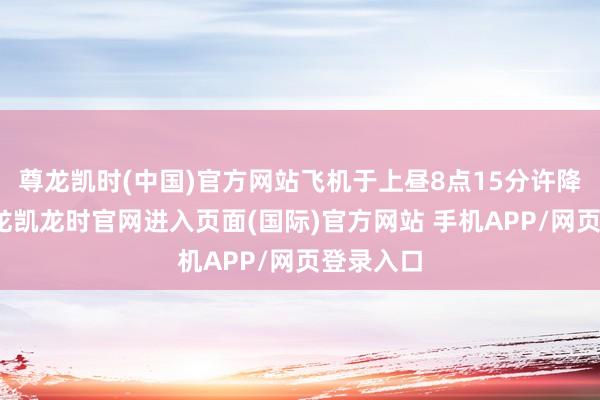尊龙凯时(中国)官方网站飞机于上昼8点15分许降过时-尊龙凯龙时官网进入页面(国际)官方网站 手机APP/网页登录入口