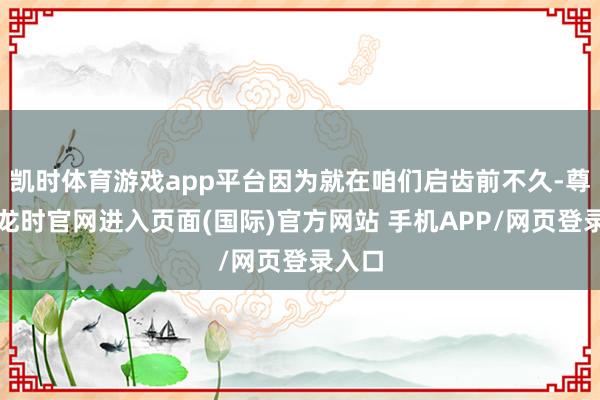 凯时体育游戏app平台因为就在咱们启齿前不久-尊龙凯龙时官网进入页面(国际)官方网站 手机APP/网页登录入口