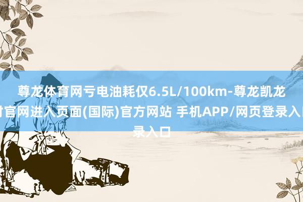 尊龙体育网亏电油耗仅6.5L/100km-尊龙凯龙时官网进入页面(国际)官方网站 手机APP/网页登录入口