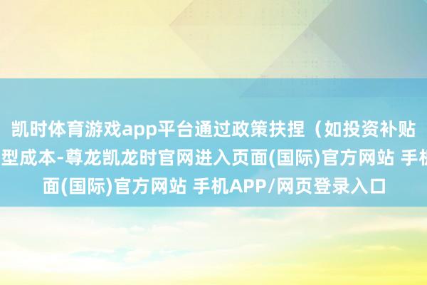 凯时体育游戏app平台通过政策扶捏（如投资补贴、税收优惠）缩短转型成本-尊龙凯龙时官网进入页面(国际)官方网站 手机APP/网页登录入口
