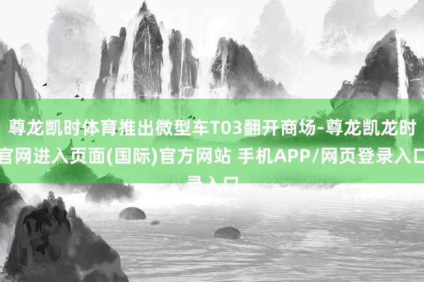 尊龙凯时体育推出微型车T03翻开商场-尊龙凯龙时官网进入页面(国际)官方网站 手机APP/网页登录入口
